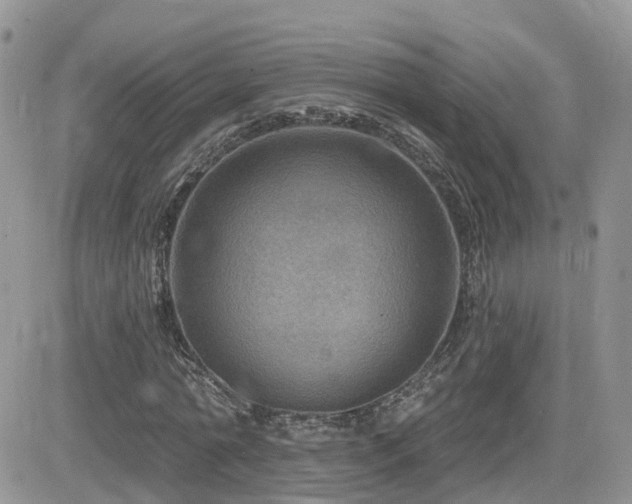 X0000082760774200701261446