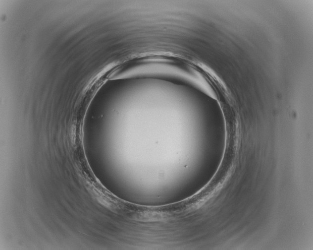 X0000082760777200701261446
