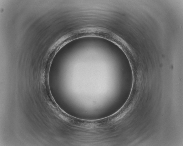 X0000082760778200701261446