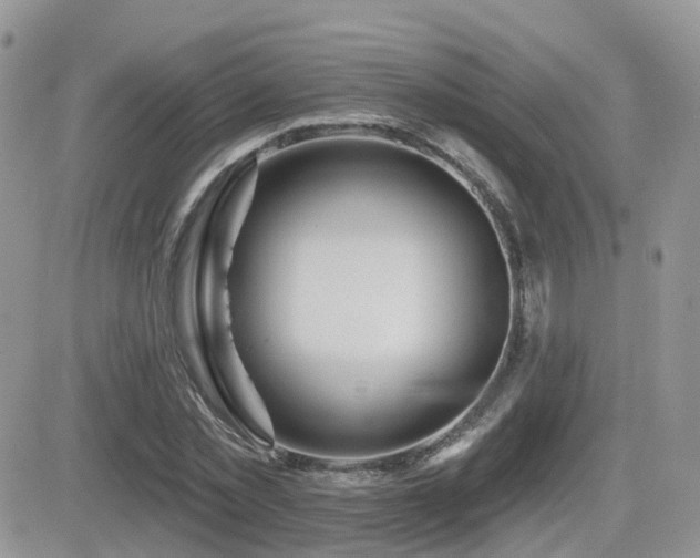 X0000082760781200701261446