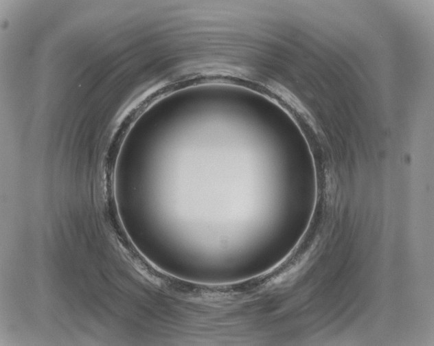X0000082760782200701261446