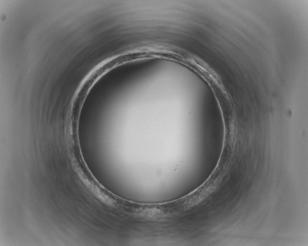 X0000082760784200701261446