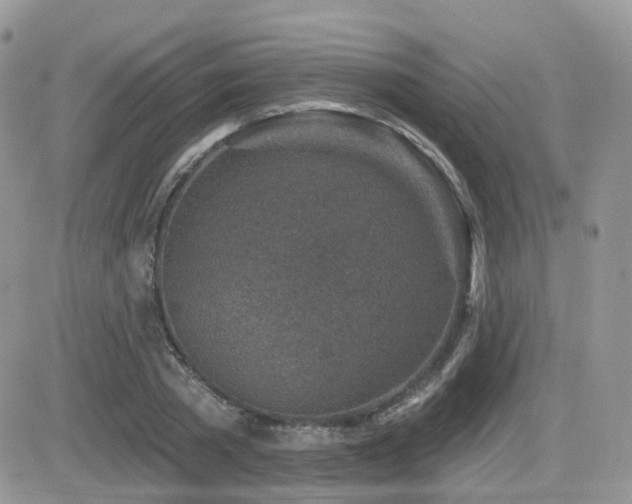 X0000082760785200701261446