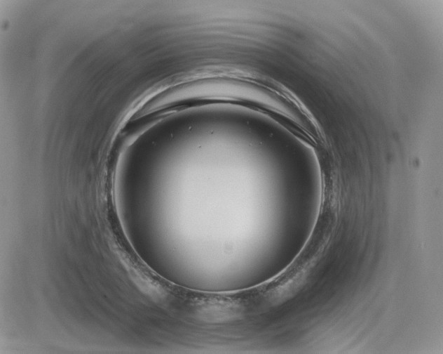 X0000082760786200701261446