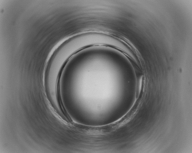 X0000082760788200701261446