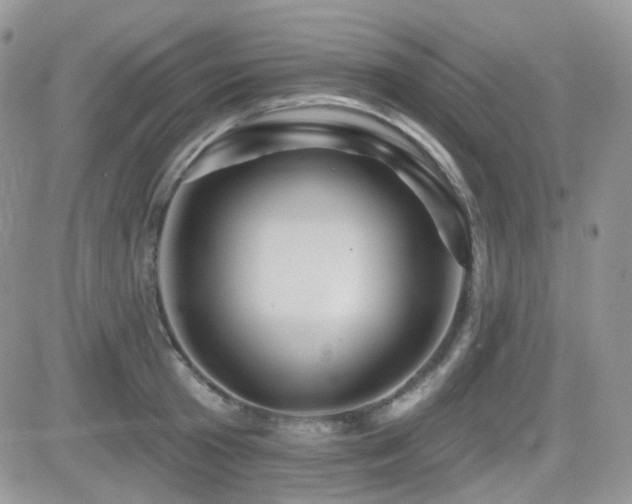 X0000082760801200701261446