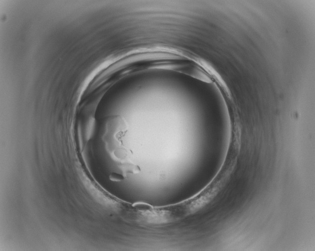 X0000082760805200701261446