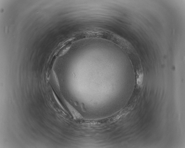 X0000082760819200701261445