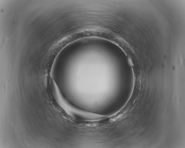 X0000082760822200701261445