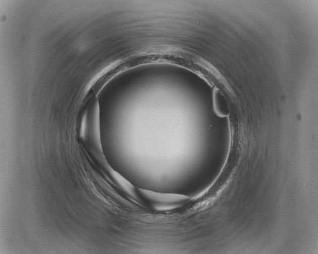 X0000082760826200701261445