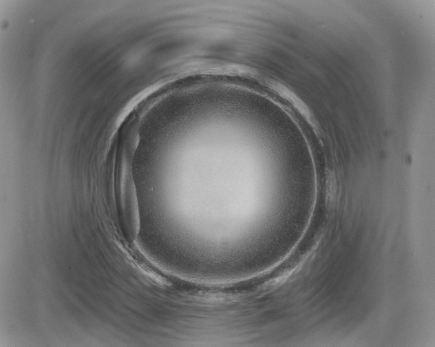 X0000082760829200701261445