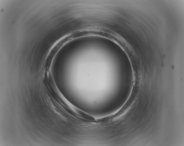 X0000082760830200701261445