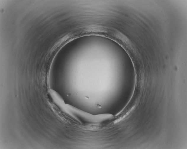 X0000082760833200701261445