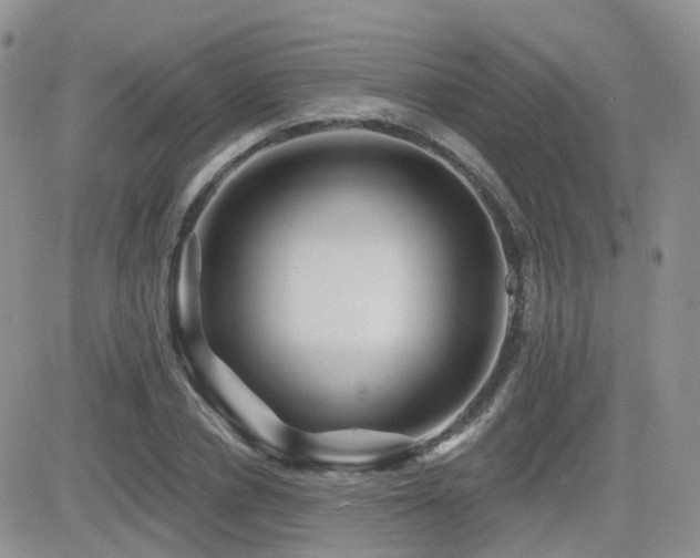 X0000082760834200701261445