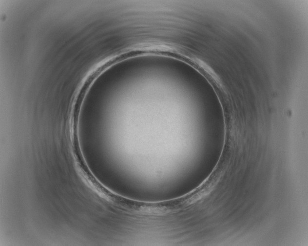 X0000082760840200701261445