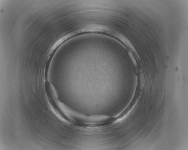 X0000082760842200701261445