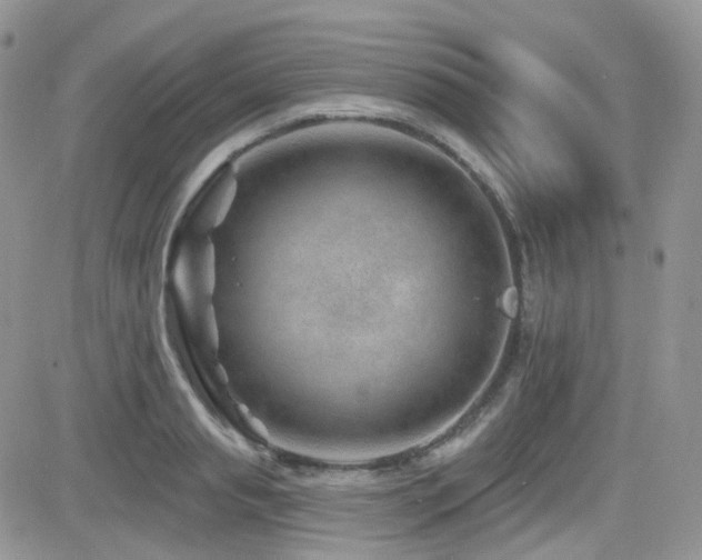 X0000082760845200701261445