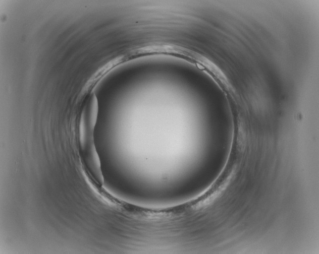 X0000082760849200701261445