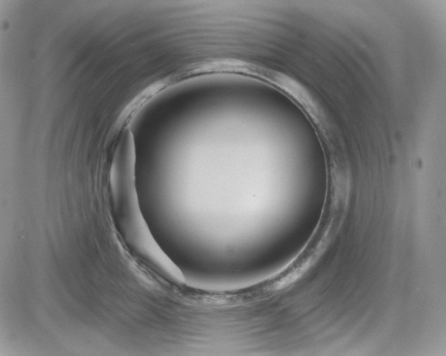 X0000082760857200701261445