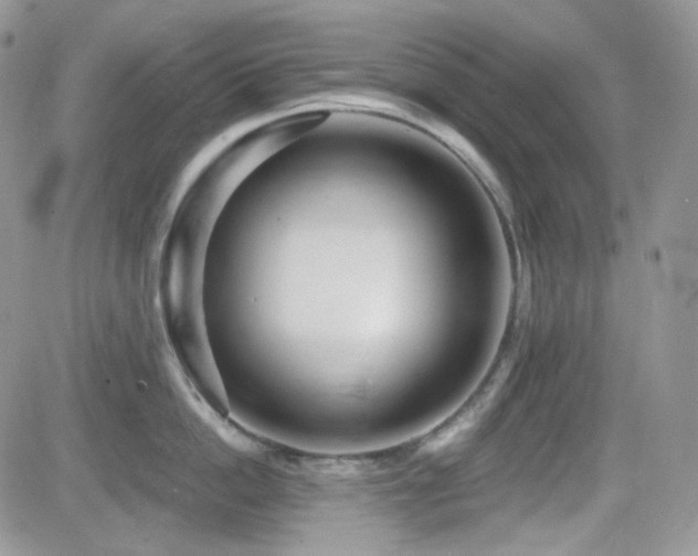 X0000082760862200701261445