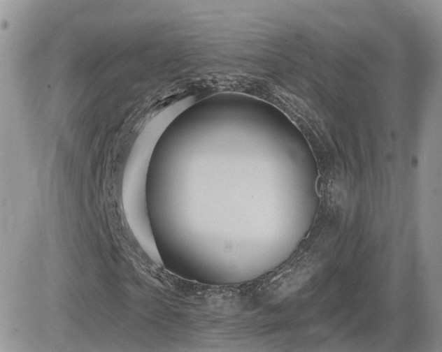 X0000082760865200701261445