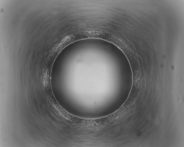 X0000082760866200701261445