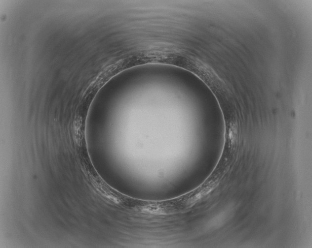 X0000082760867200701261445
