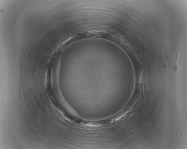 X0000082760868200701261445