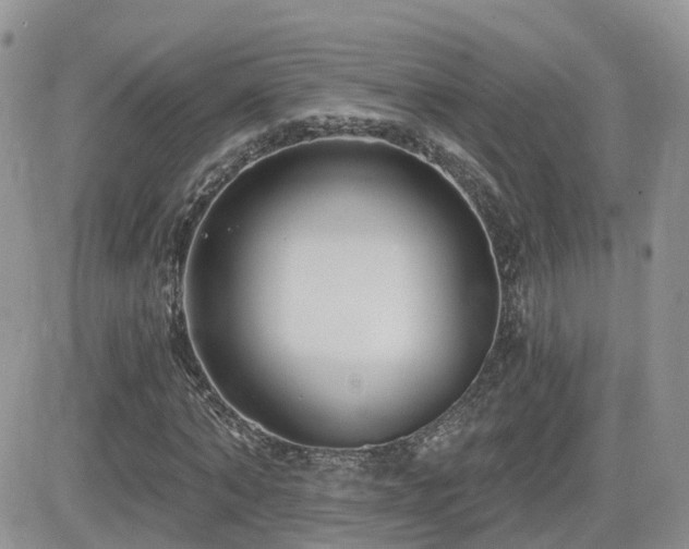 X0000082760870200701261445