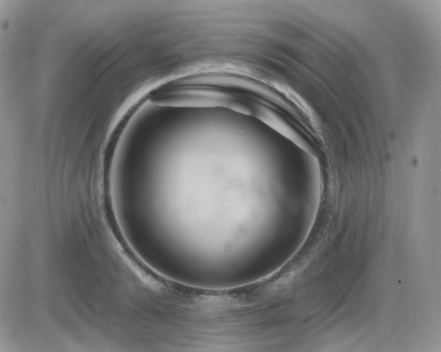 X0000082760894200701261444