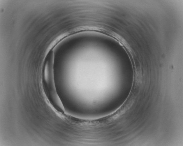 X0000082760898200701261444