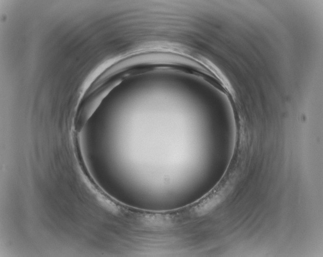 X0000082760901200701261444