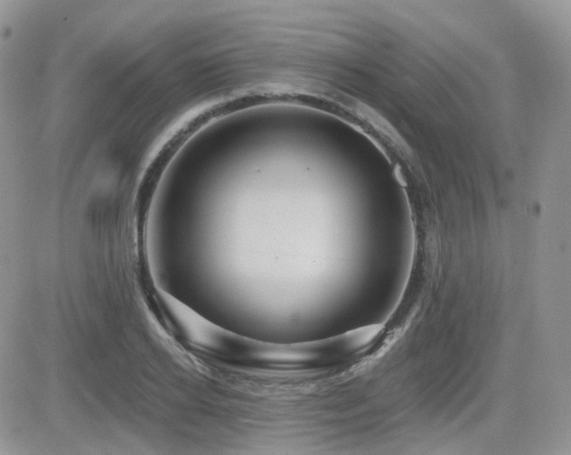 X0000082760934200701261443