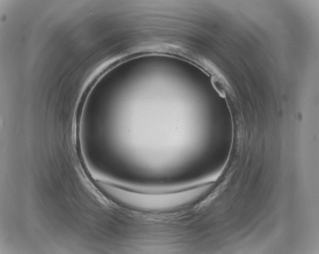 X0000082760940200701261444