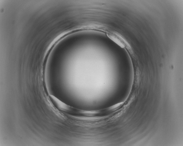 X0000082760948200701261444