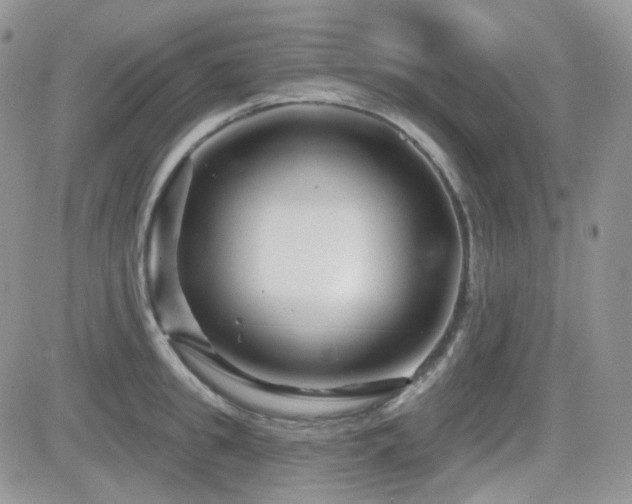 X0000082760949200701261444