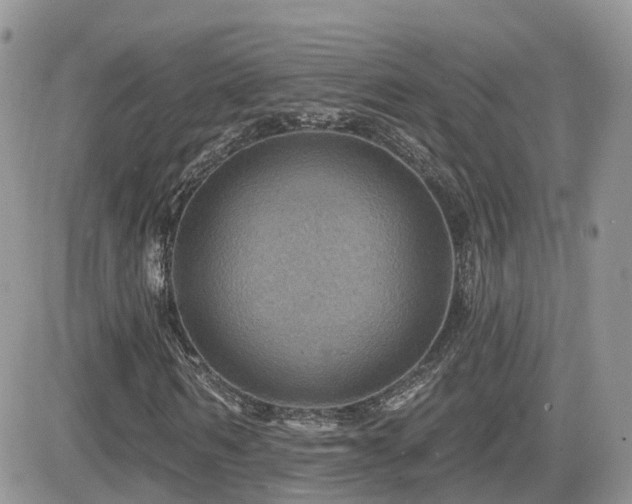 X0000082760962200701261443