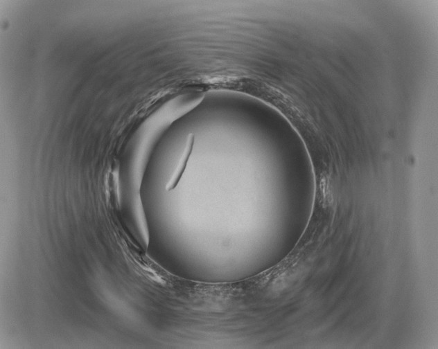 X0000082760963200701261443