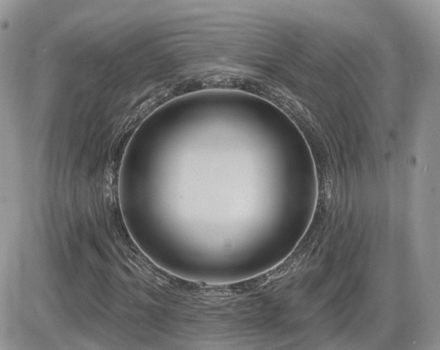 X0000082760964200701261443