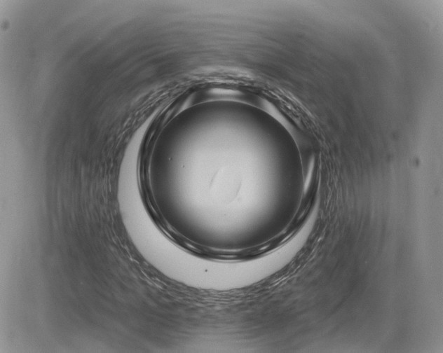 X0000082760965200701261443