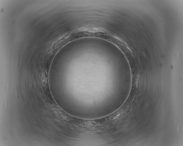 X0000082760966200701261443