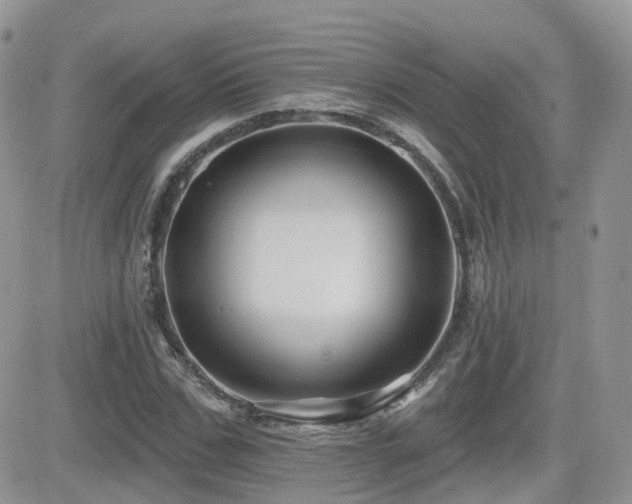 X0000082760971200701261443