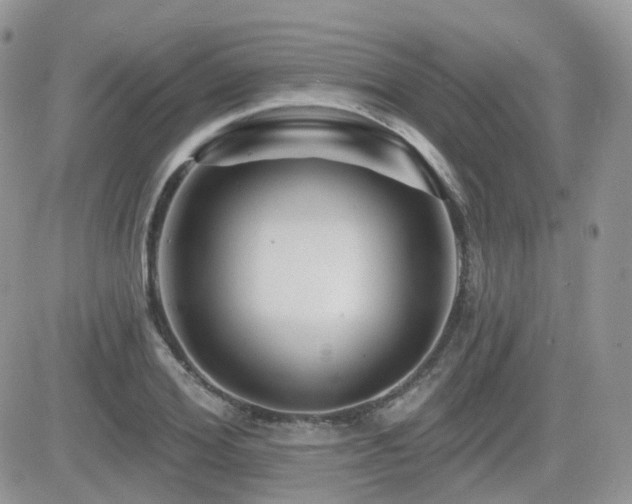 X0000082760980200701261443