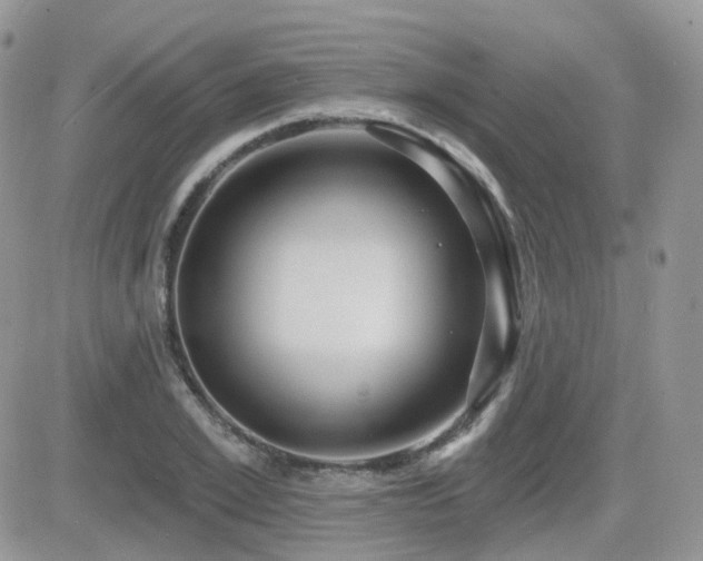 X0000082760981200701261443