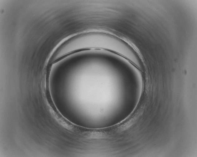 X0000082760984200701261443