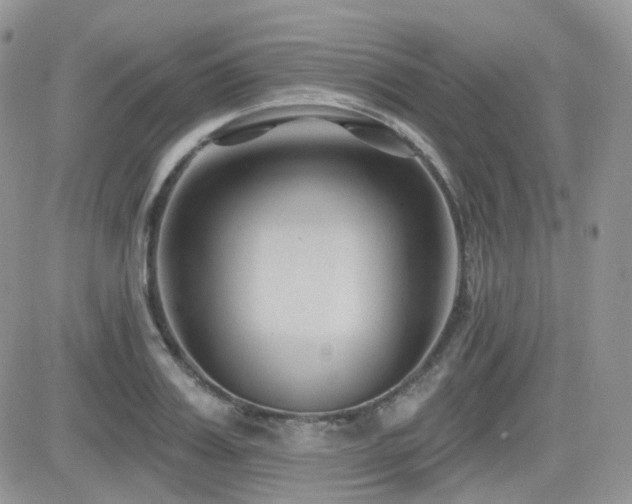 X0000082760987200701261443