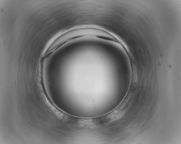 X0000082761006200701261442