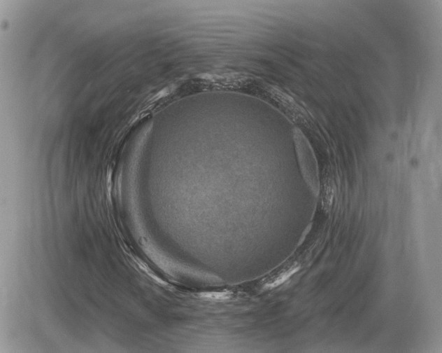 X0000082761010200701261442