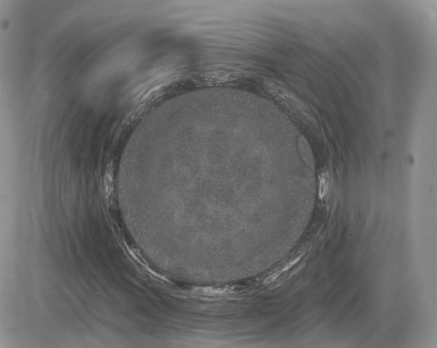 X0000082761011200701261442