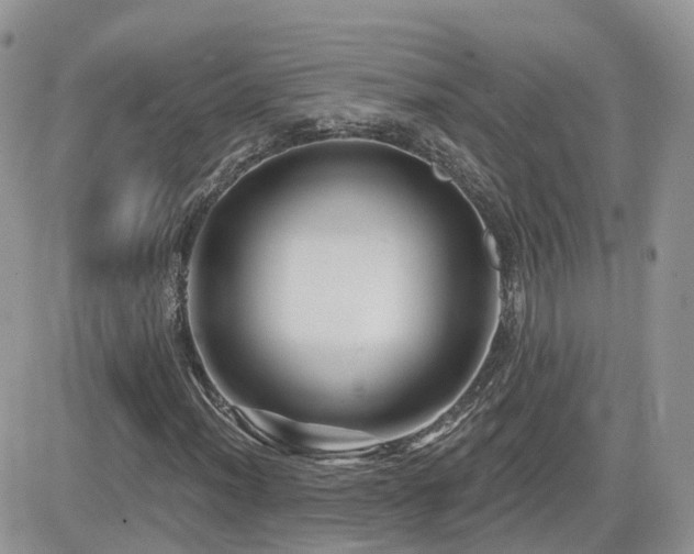 X0000082761012200701261442